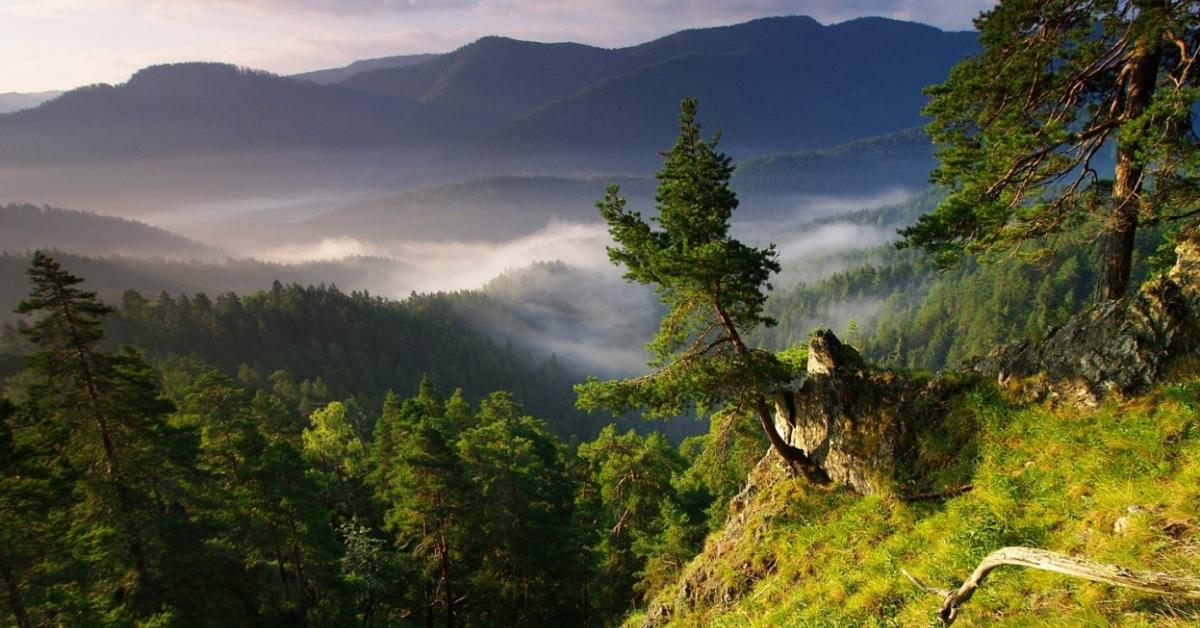 Природа као савршено уточиште за опуштање